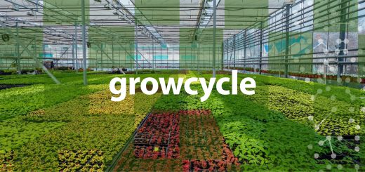 Growcycle