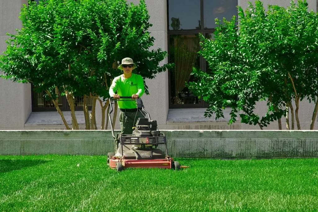 Lawn Care & Mowing Services