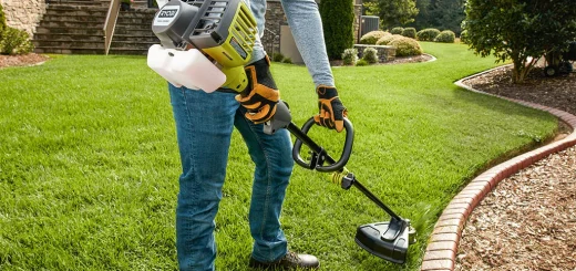 Lawn Edging and Trimming Services available on Growcycle